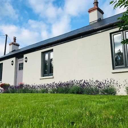Lavender Cottage - 2 Bedroom Home نيوبريدج المظهر الخارجي الصورة